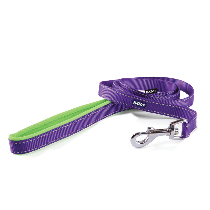 Active Lead - Purple & Lime - Kazoo Pet Co