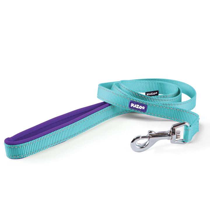 Active Lead - Aqua & Purple - Kazoo Pet Co