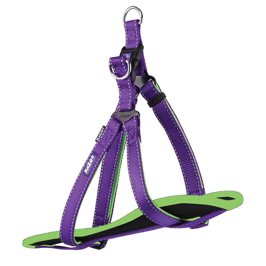 Active Walking Dog Harness - Purple & Lime