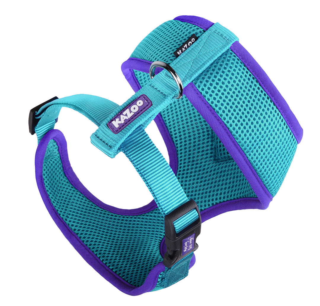 Active Soft Walking Dog Harness Aqua & Purple Kazoo Pet Co