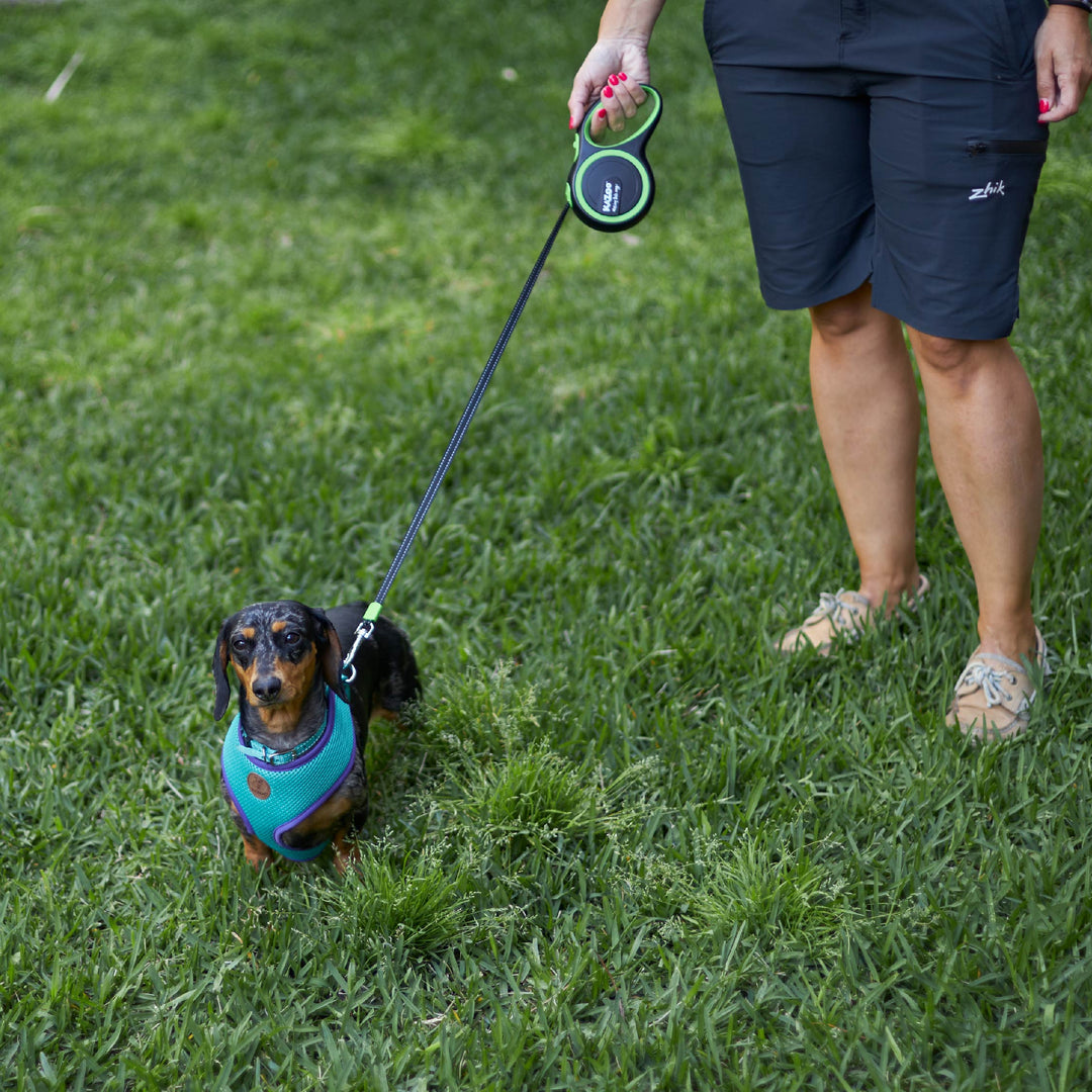 Retractable Dog Lead - 5 metre - up to 20kg