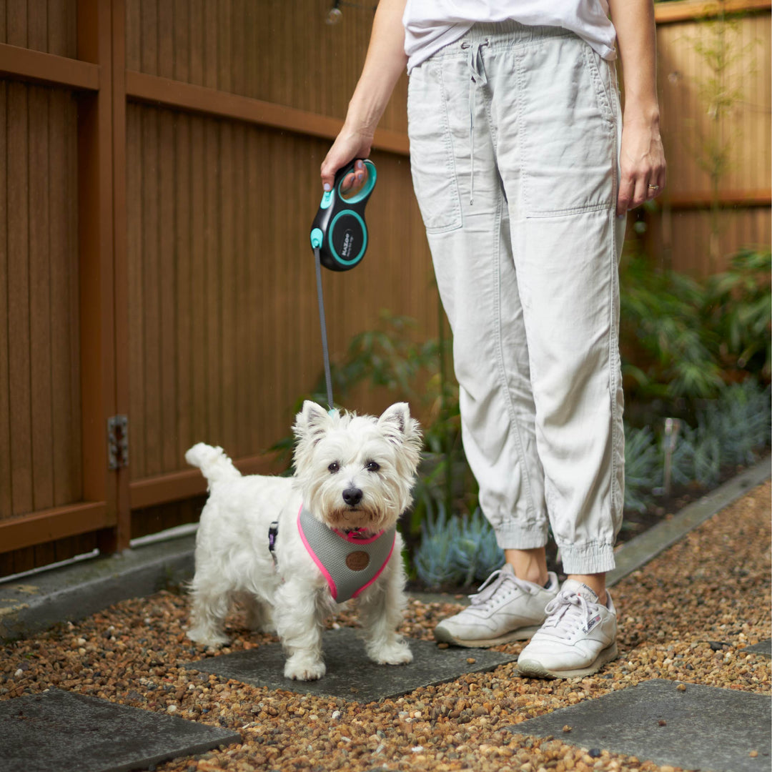 Active Soft Walking Harness - Silver & Pink - Kazoo Pet Co