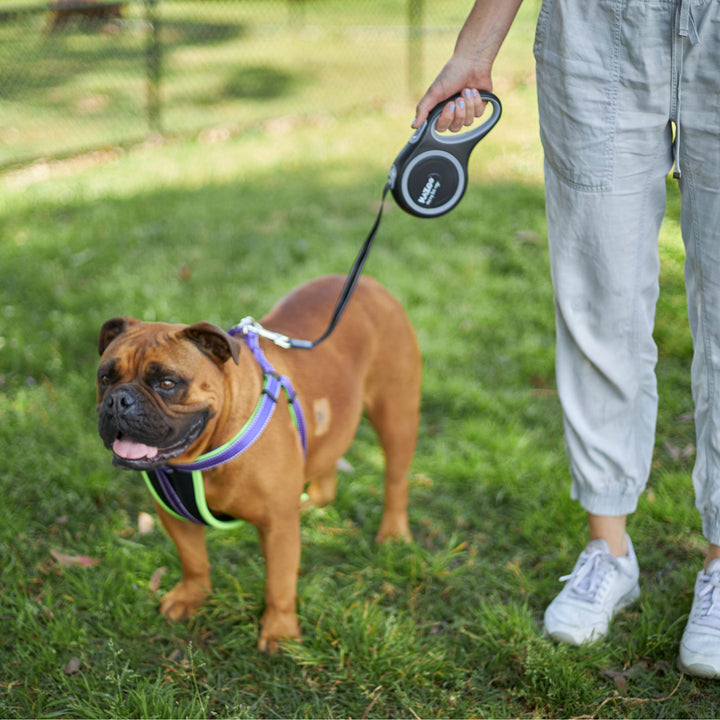Retractable Dog Lead - 8 metre - up to 50kg