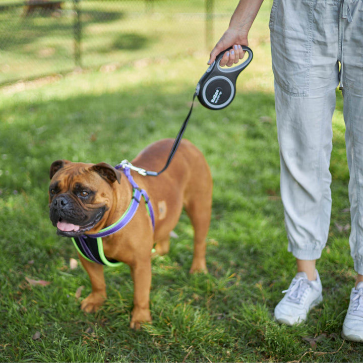 Retractable Dog Lead - 8 metre - up to 50kg