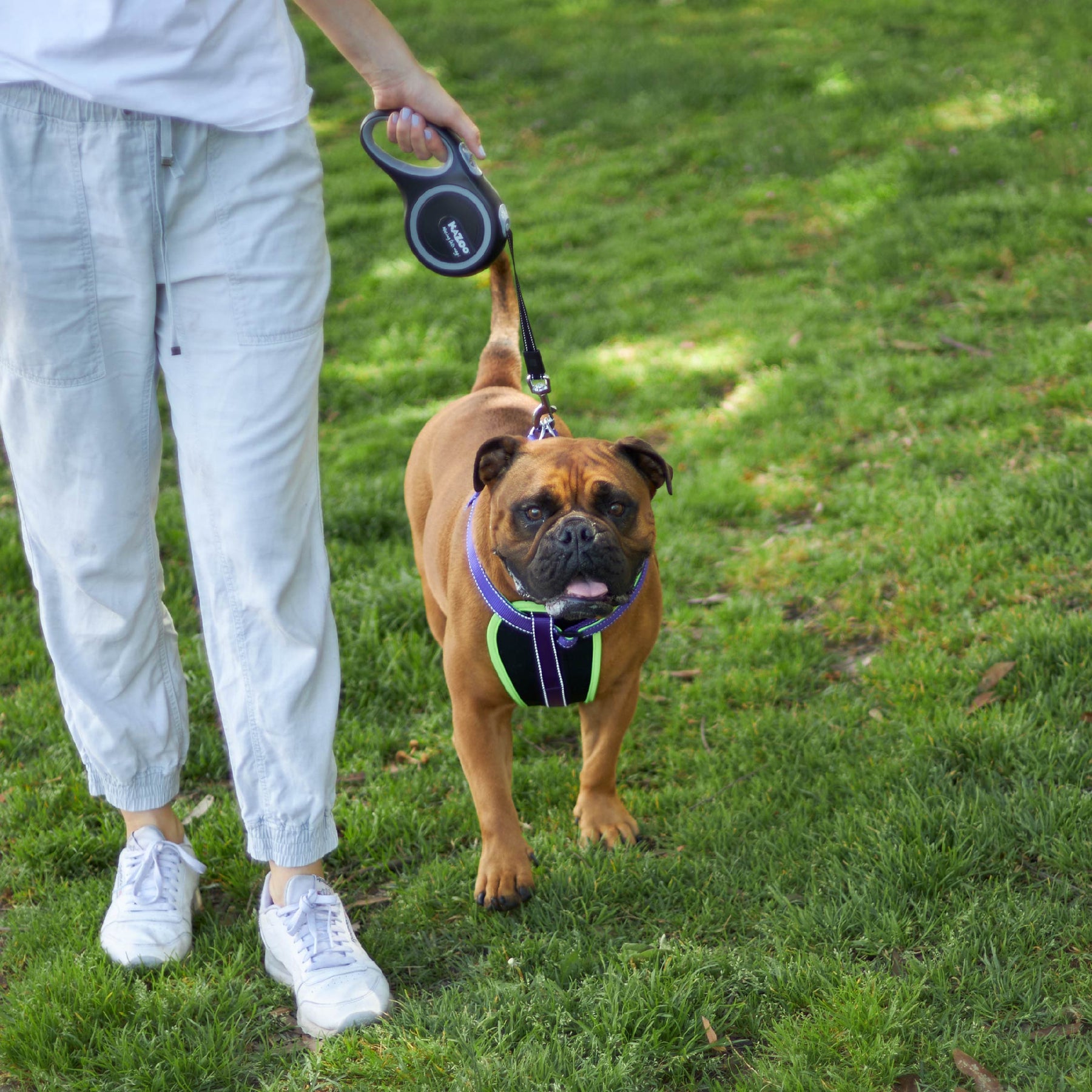 Retractable Dog Lead 8 metre up to 50kg Kazoo Pet Co