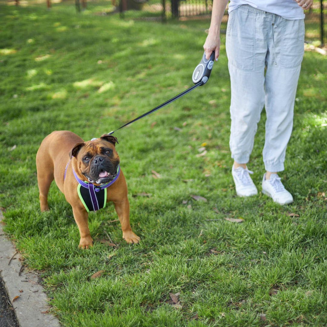 Retractable Dog Lead - 8 metre - up to 50kg