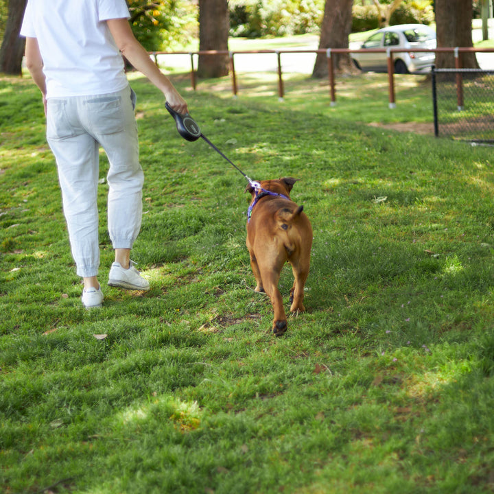 Retractable Dog Lead - 8 metre - up to 50kg