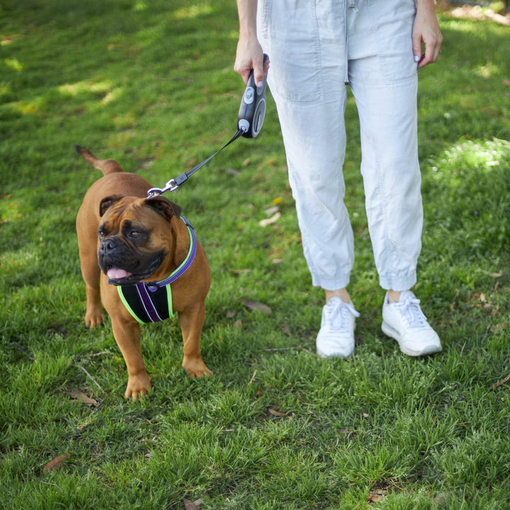 Retractable Dog Lead - 8 metre - up to 50kg
