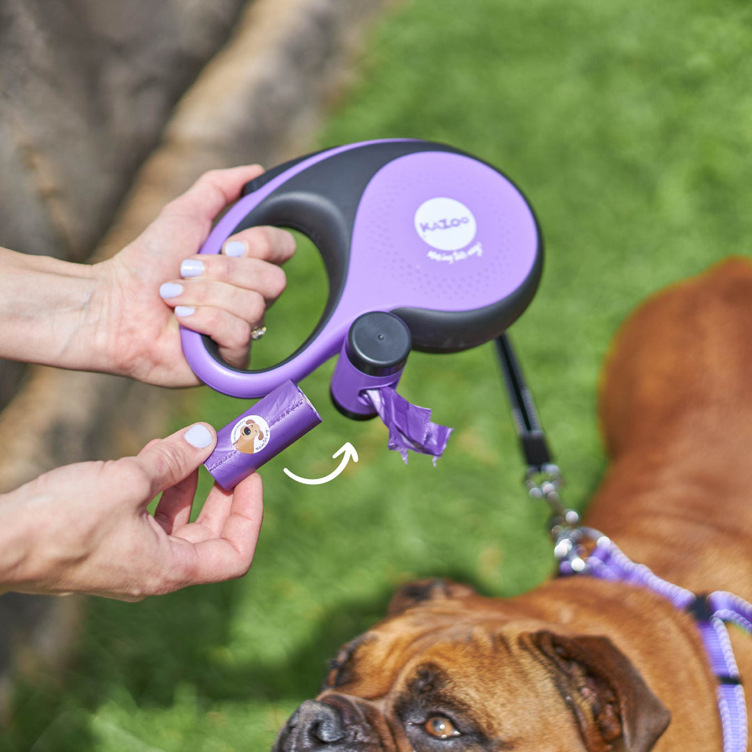 Retractable Dog Lead w/ Poop Bag Dispenser metre up to 50kg