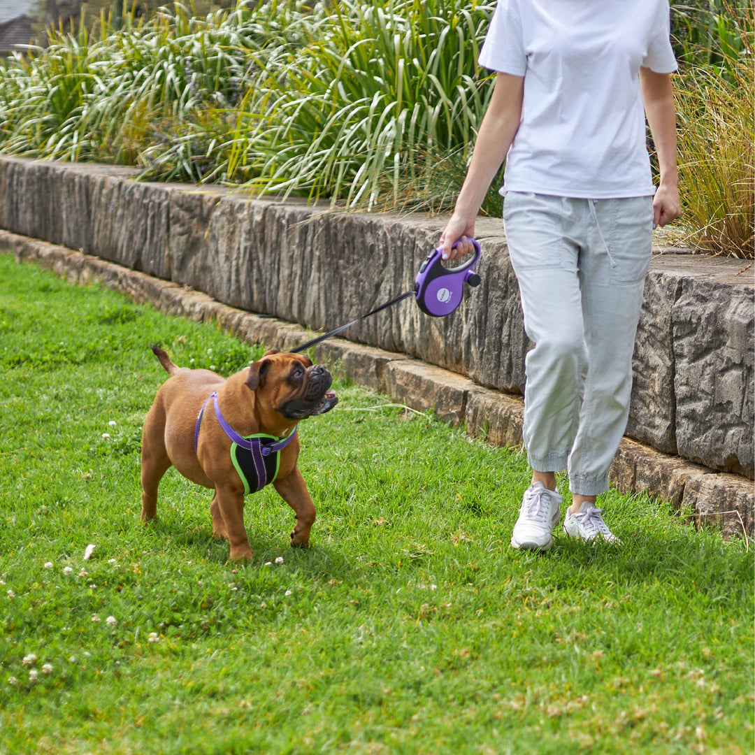 Retractable Dog Lead w/ Poop Bag Dispenser - 8 metre - up to 50kg