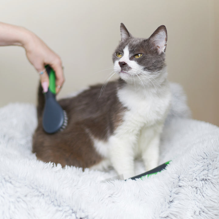 Soft Cat Brush - Kazoo Pet Co