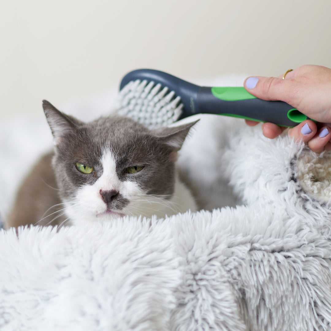 Kazoo Soft Cat Brush – Kazoo Pet Co