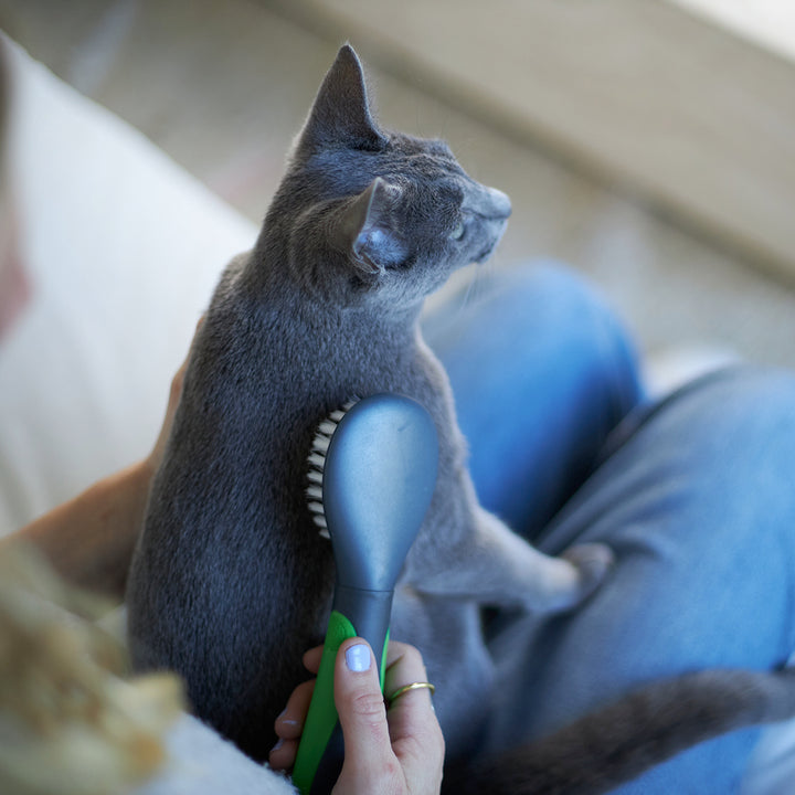 Soft Cat Brush - Kazoo Pet Co