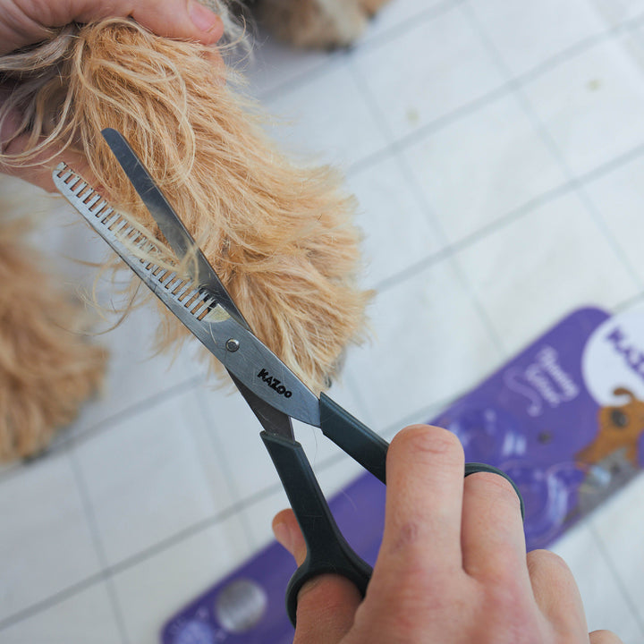 Thinning Scissors - Kazoo Pet Co