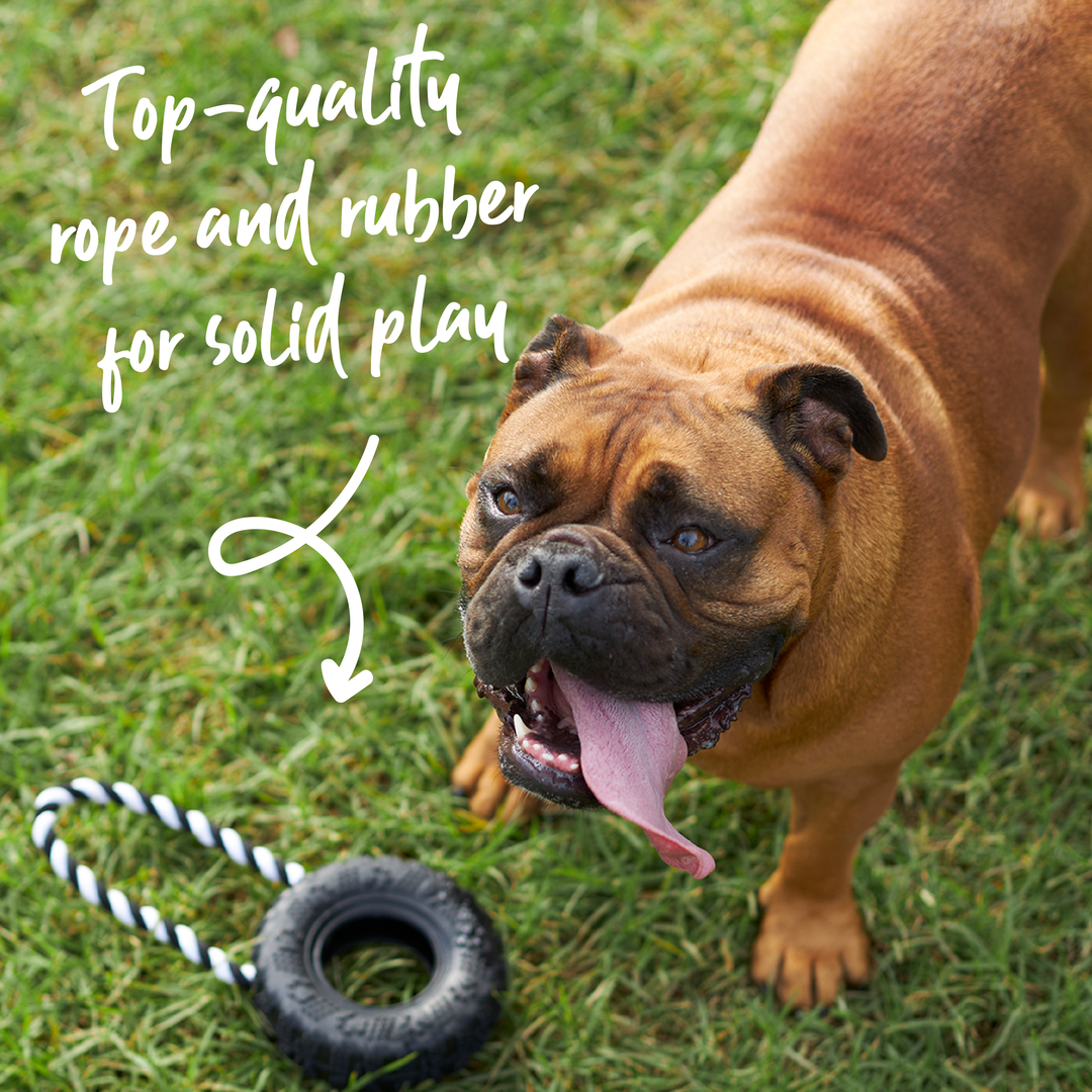 Toothy Tug Tyre Dog Toy