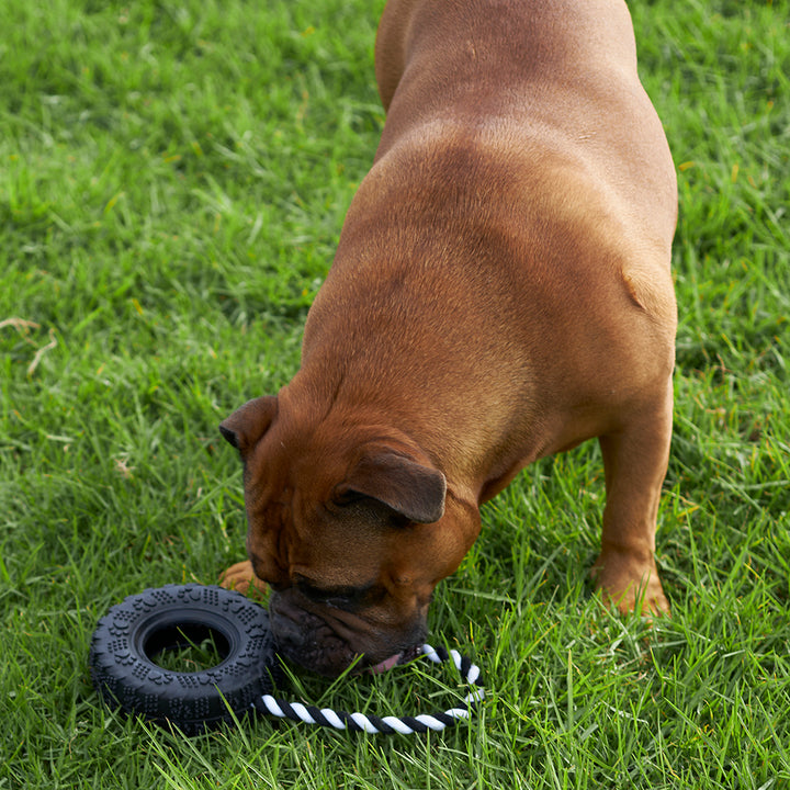 Toothy Tug Tyre Dog Toy