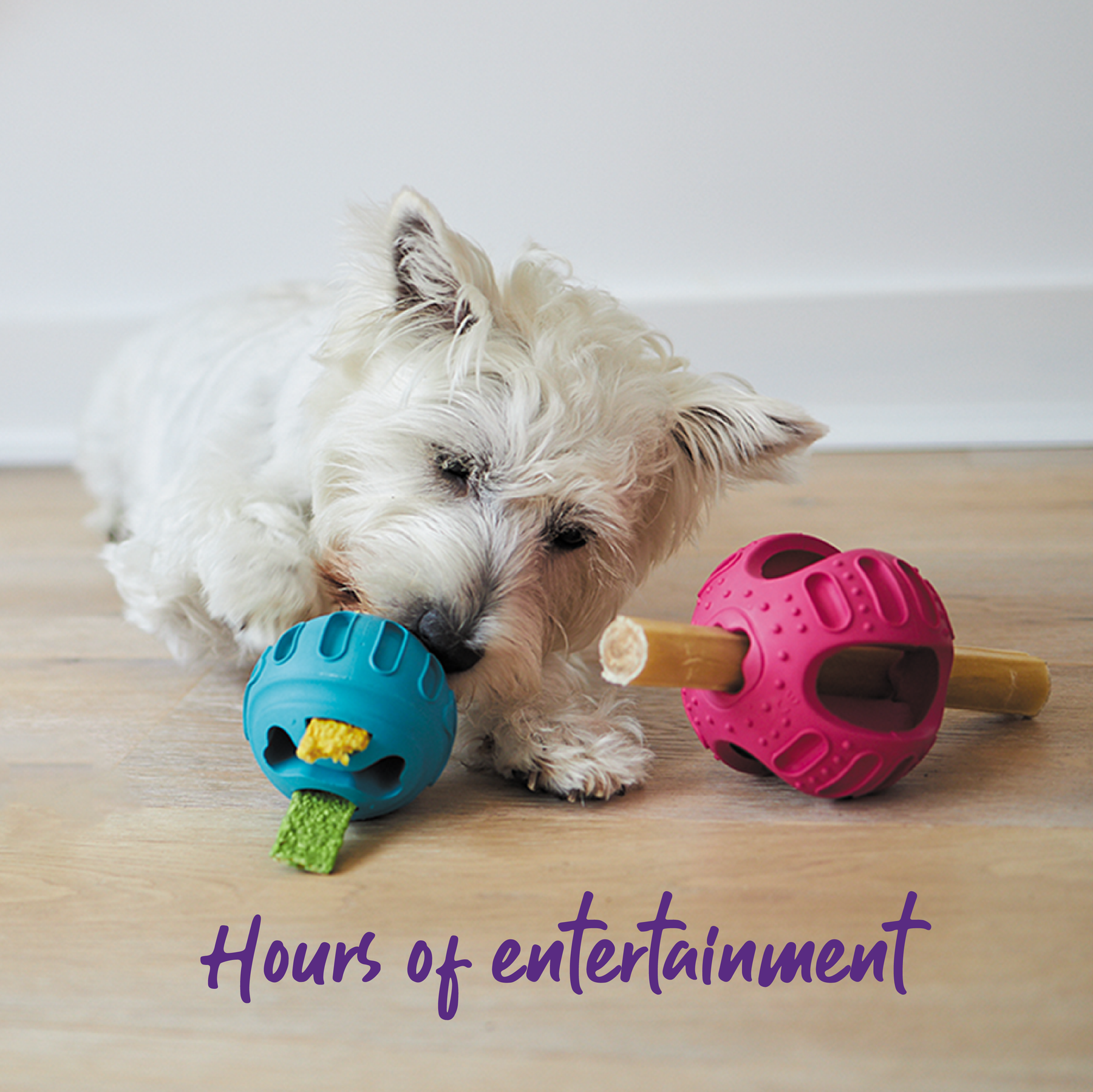 Chew Treat Enrichment Dog Ball Kazoo Pet Co