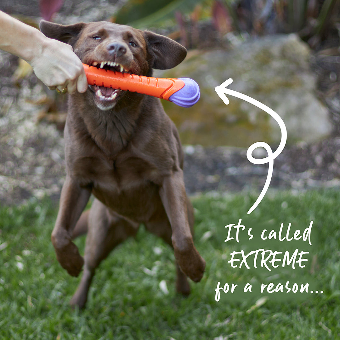 Extreme Play Dog Chew Stick - Large
