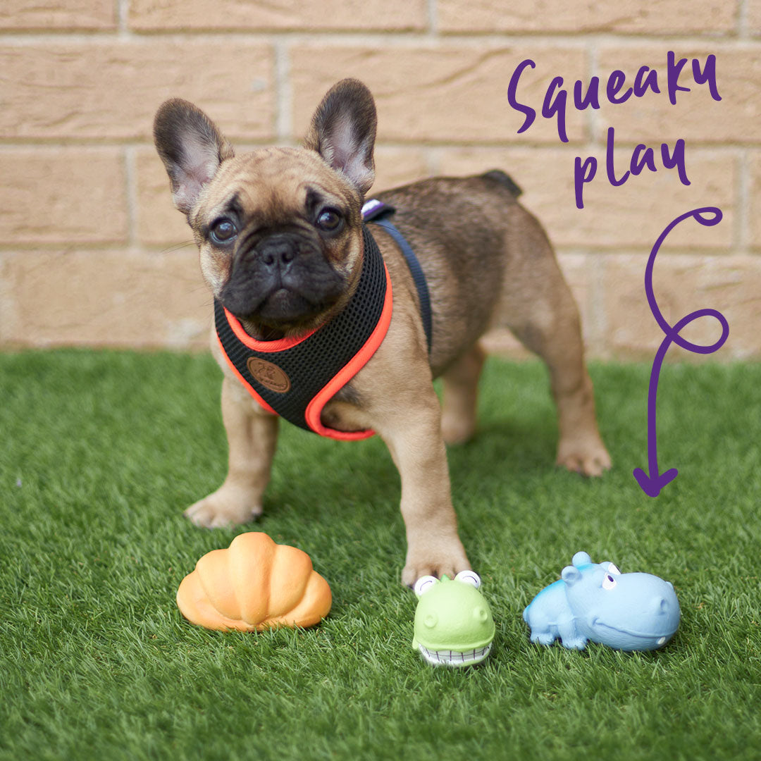 Bulldog puppy toys clearance