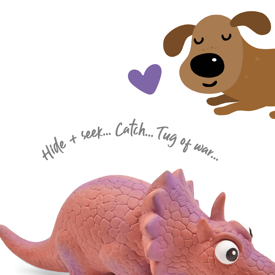 Triceratops sales dog toy