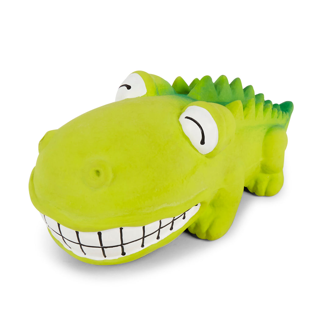 Crazy Croc Squeaky Dog Toy