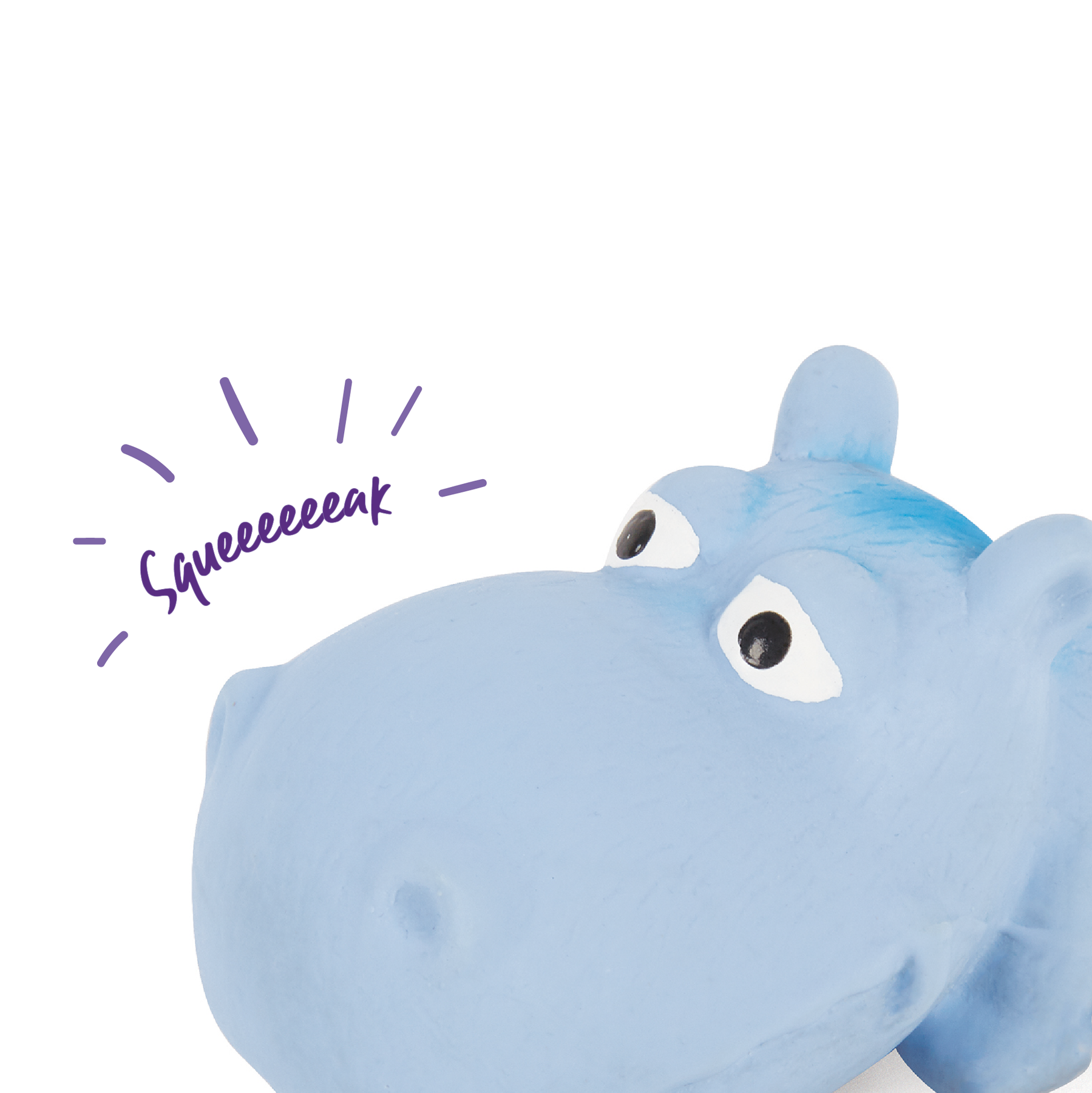 Hippo squeaky dog best sale toy