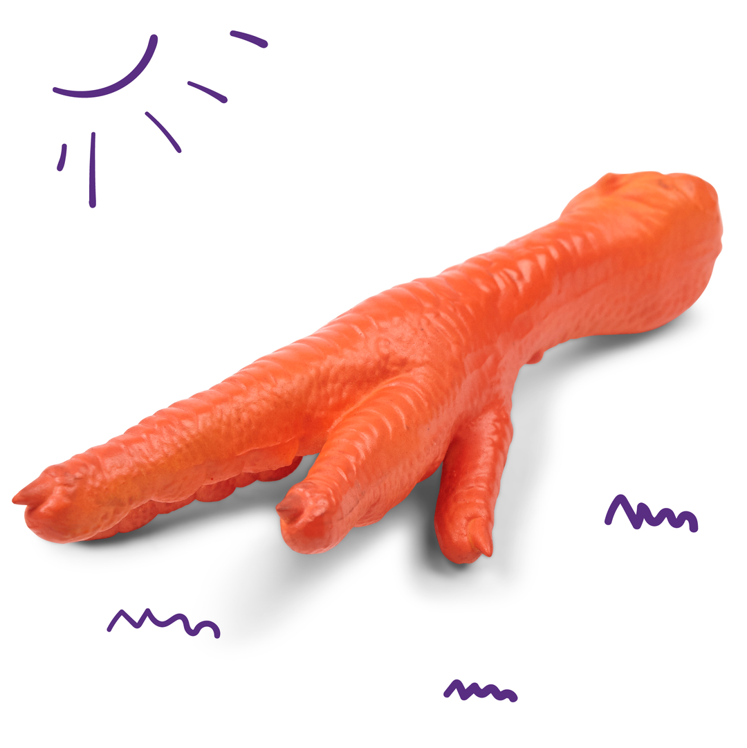 Chook Foot Squeaky Dog Toy