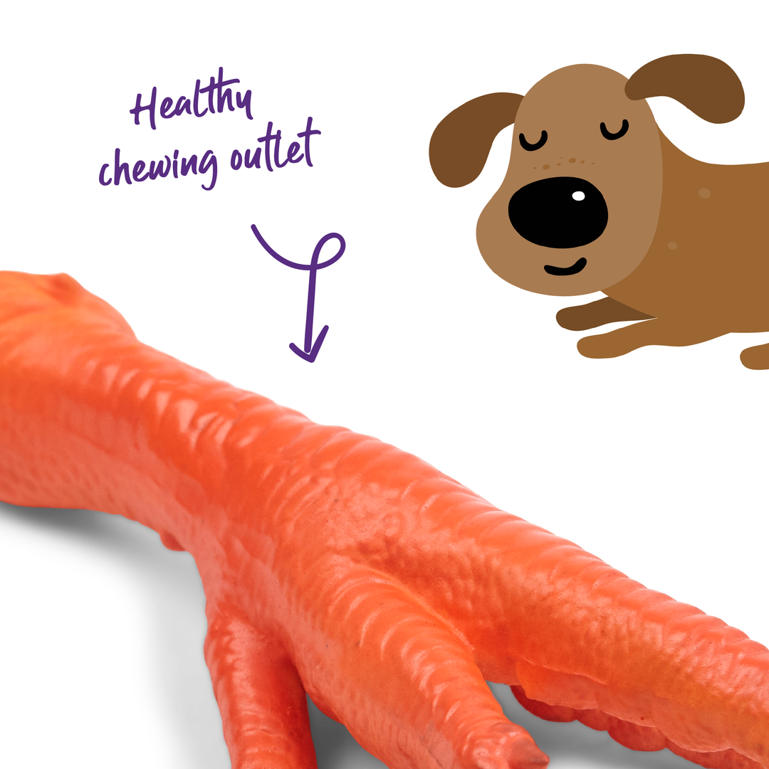 Chook Foot Squeaky Dog Toy