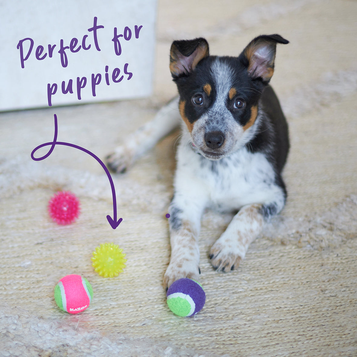 Puppy toys australia top