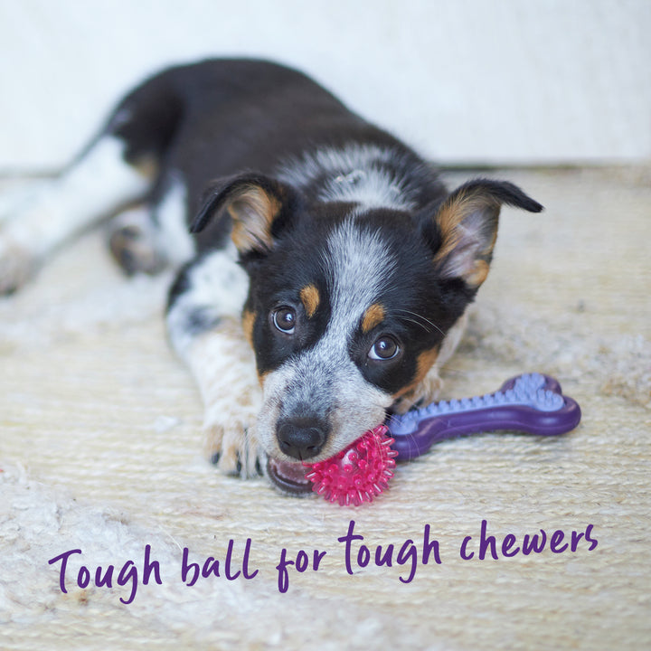 Tough Chewing Space Balls - Small - Kazoo Pet Co