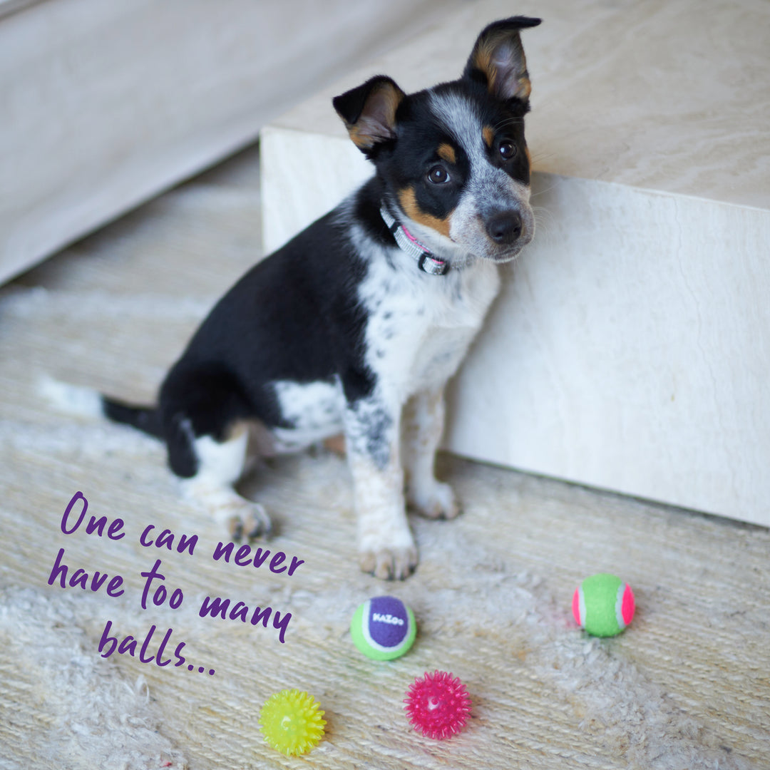Tough Chewing Space Balls - Small Dog Toy
