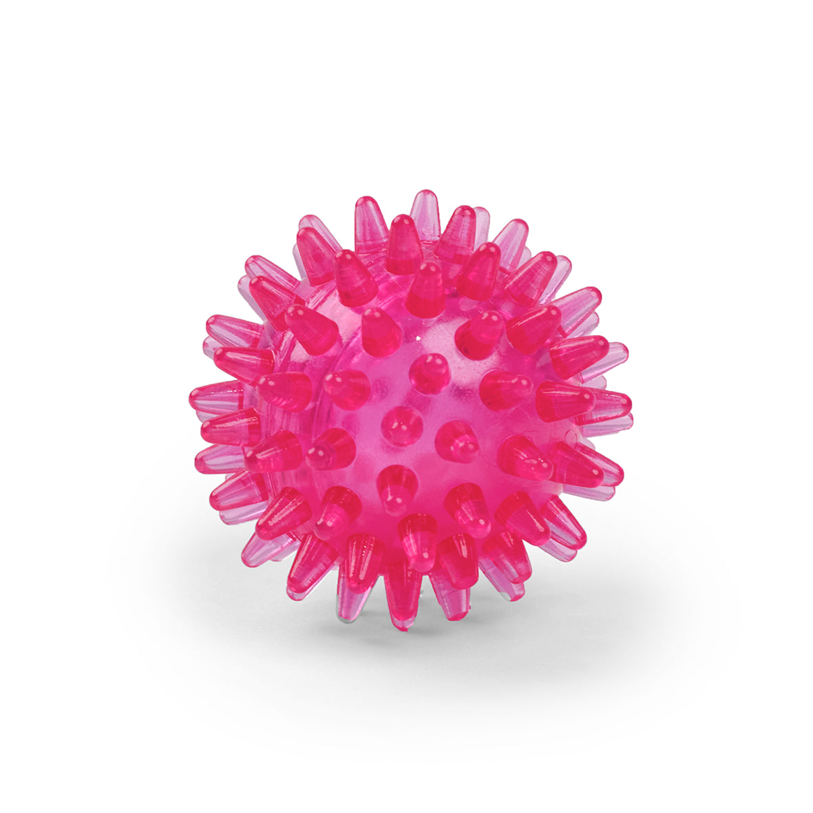Small spiky dog store ball