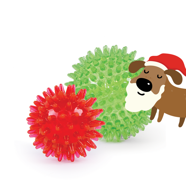 Santa Paws Star Ball