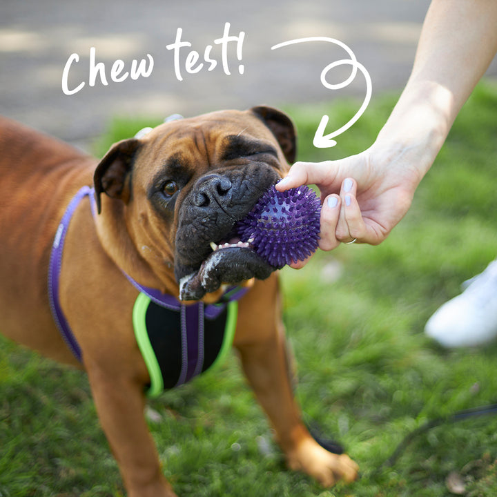 Tough Chewing Space Balls - Medium Dog Toy