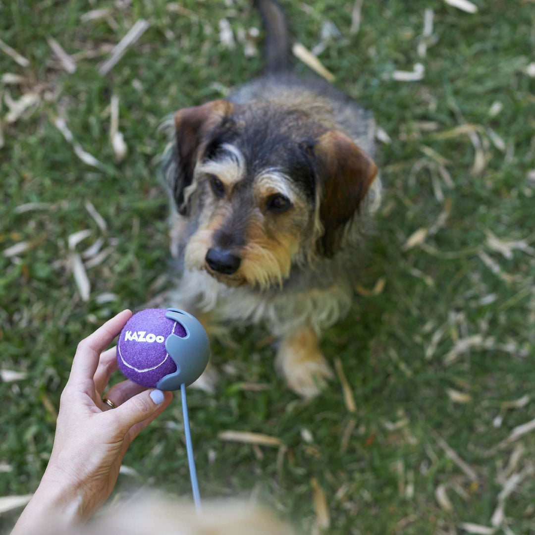 Eco-Friendly Ball Thrower Dog Toy