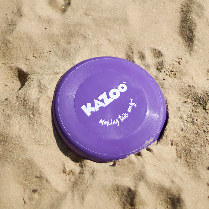 Kazoo Purple Frisbee Dog Toy