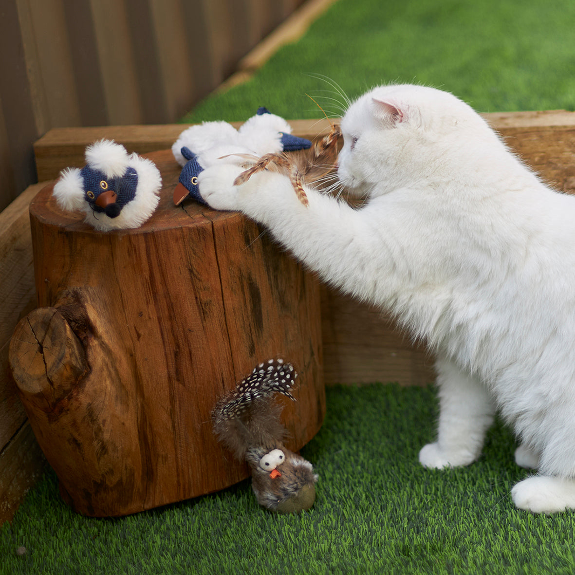 Eco friendly deals cat toys