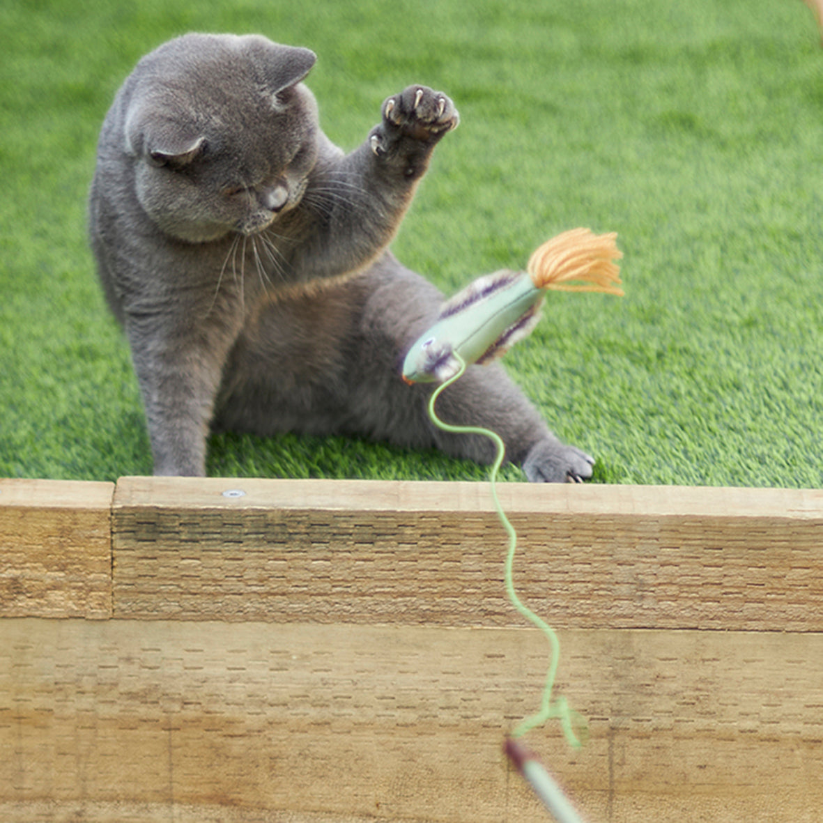 Eco Friendly Cat Toys Kazoo Pet Co