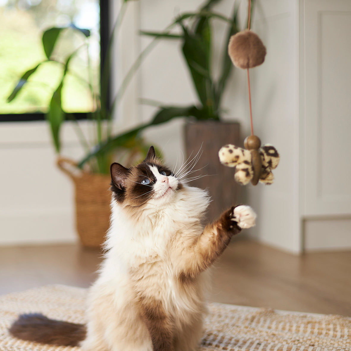 Butterfly wand sales cat toy