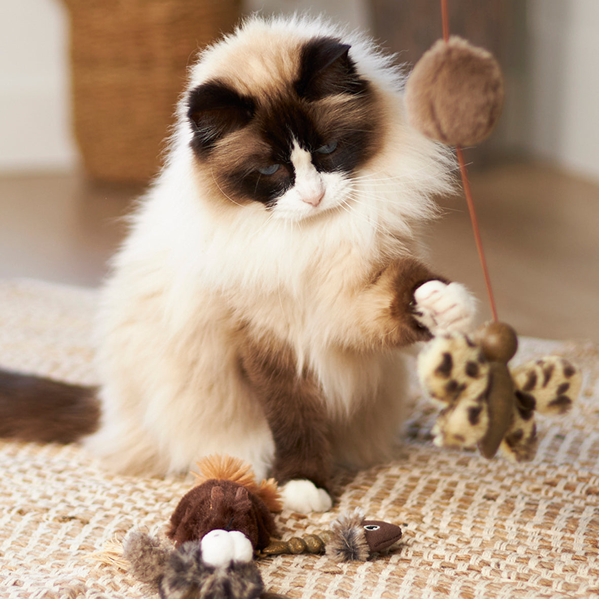 Butterfly cat 2025 toy wand