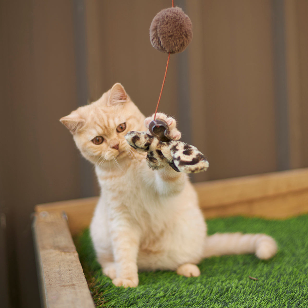 Butterfly cat on sale toy wand