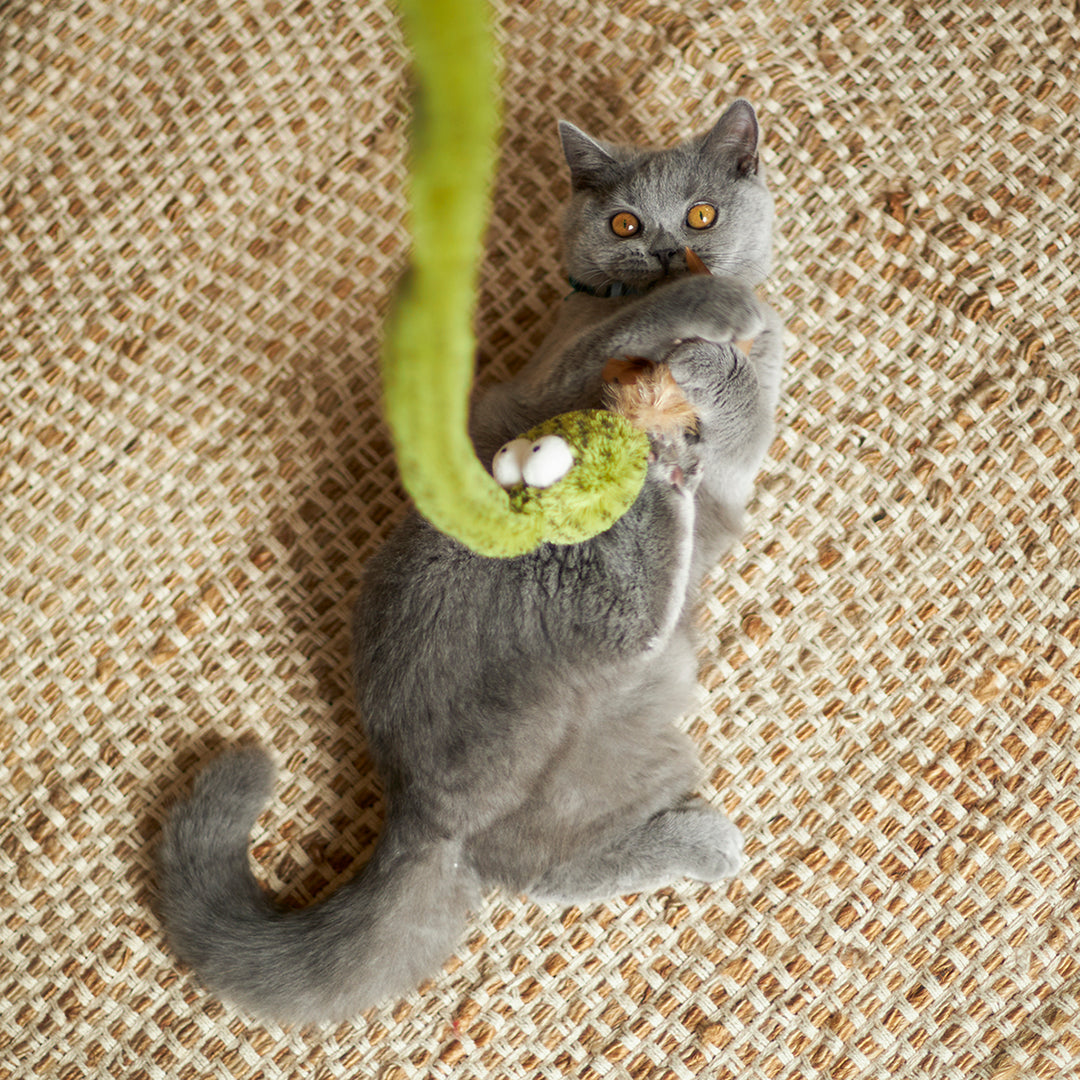 Spotty Snake Play & Chase Wand