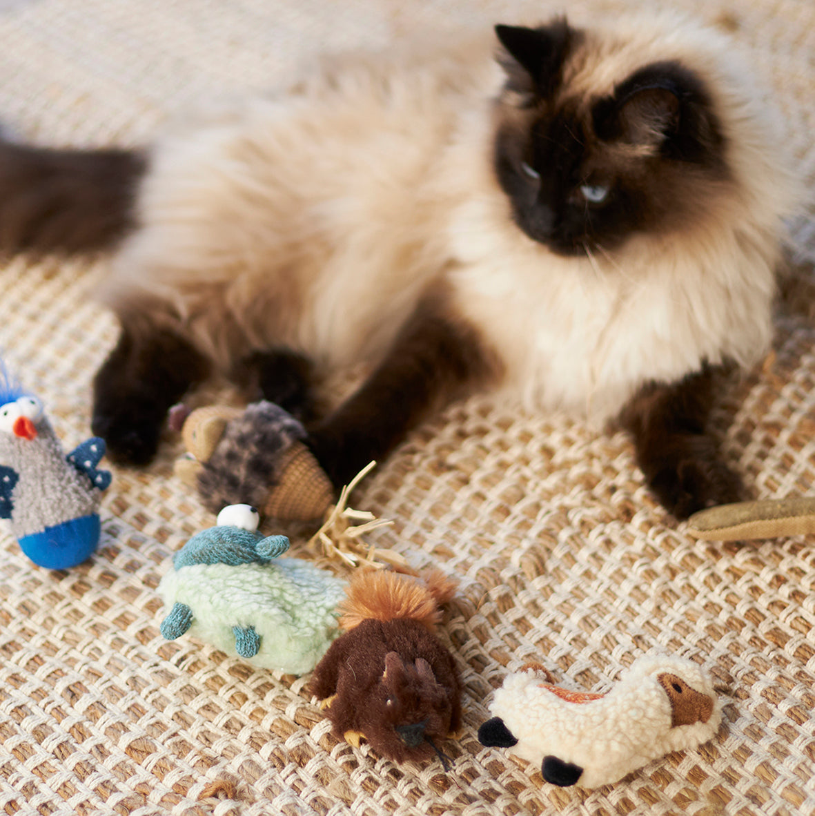Llama 2025 cat toy