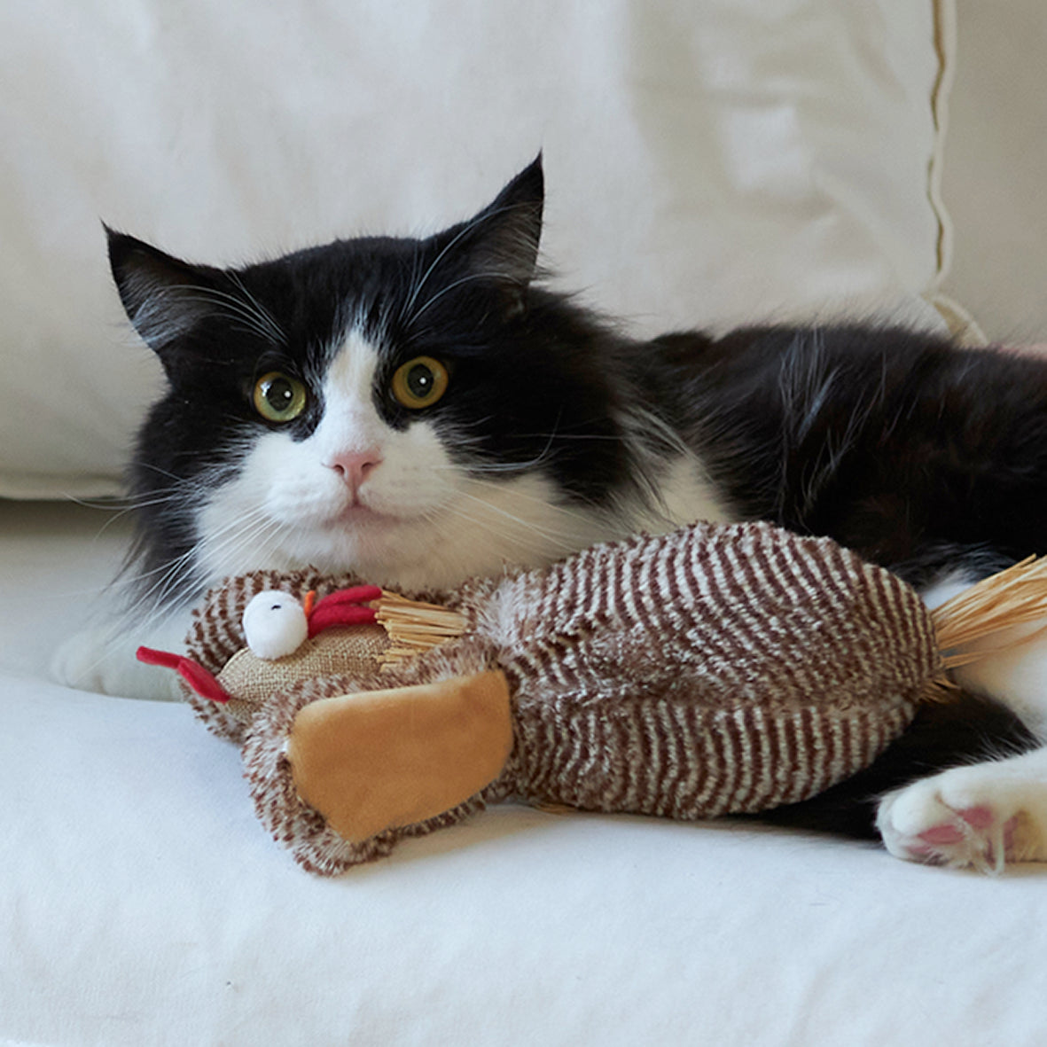 Chicken sales cat toy