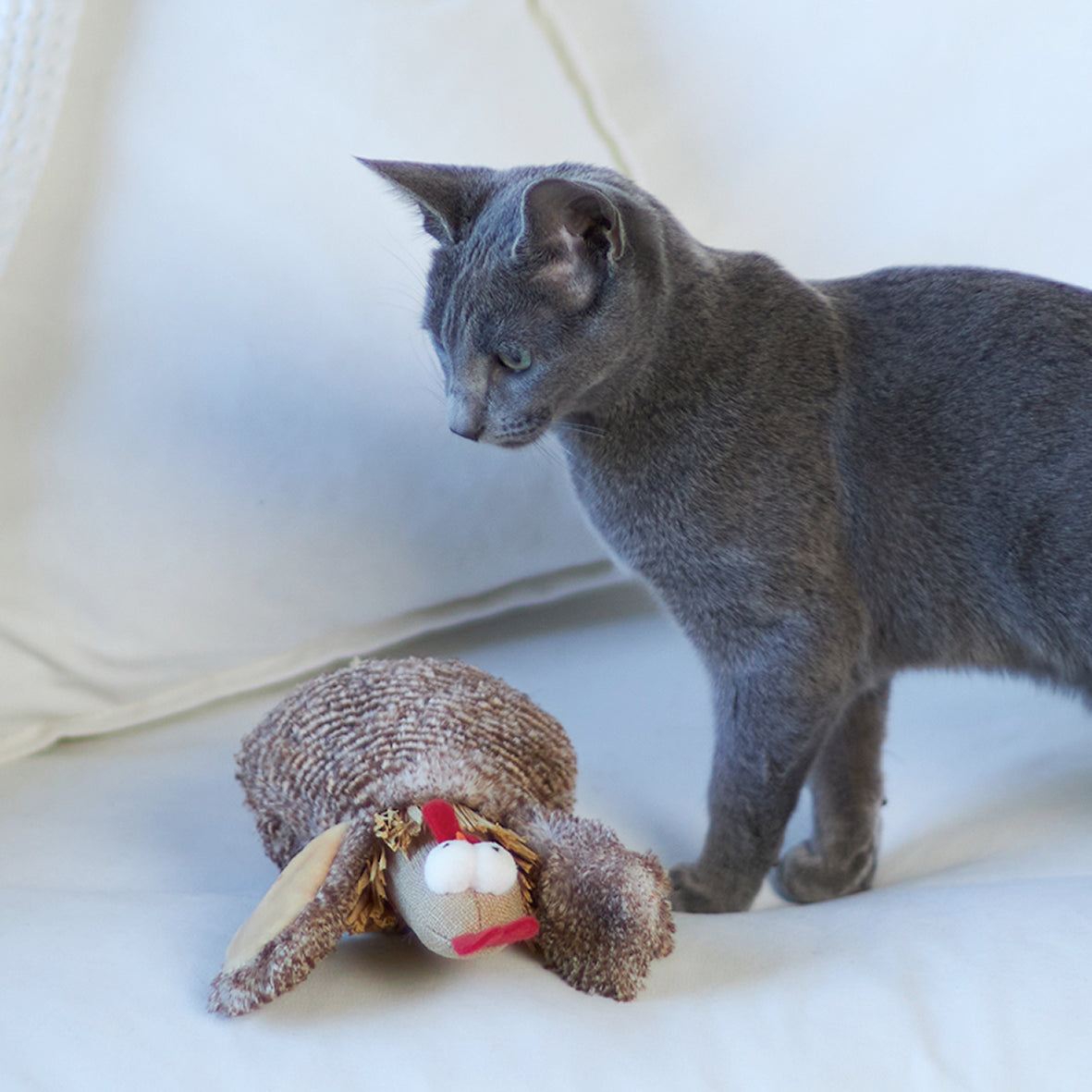 Chicken 2025 cat toy