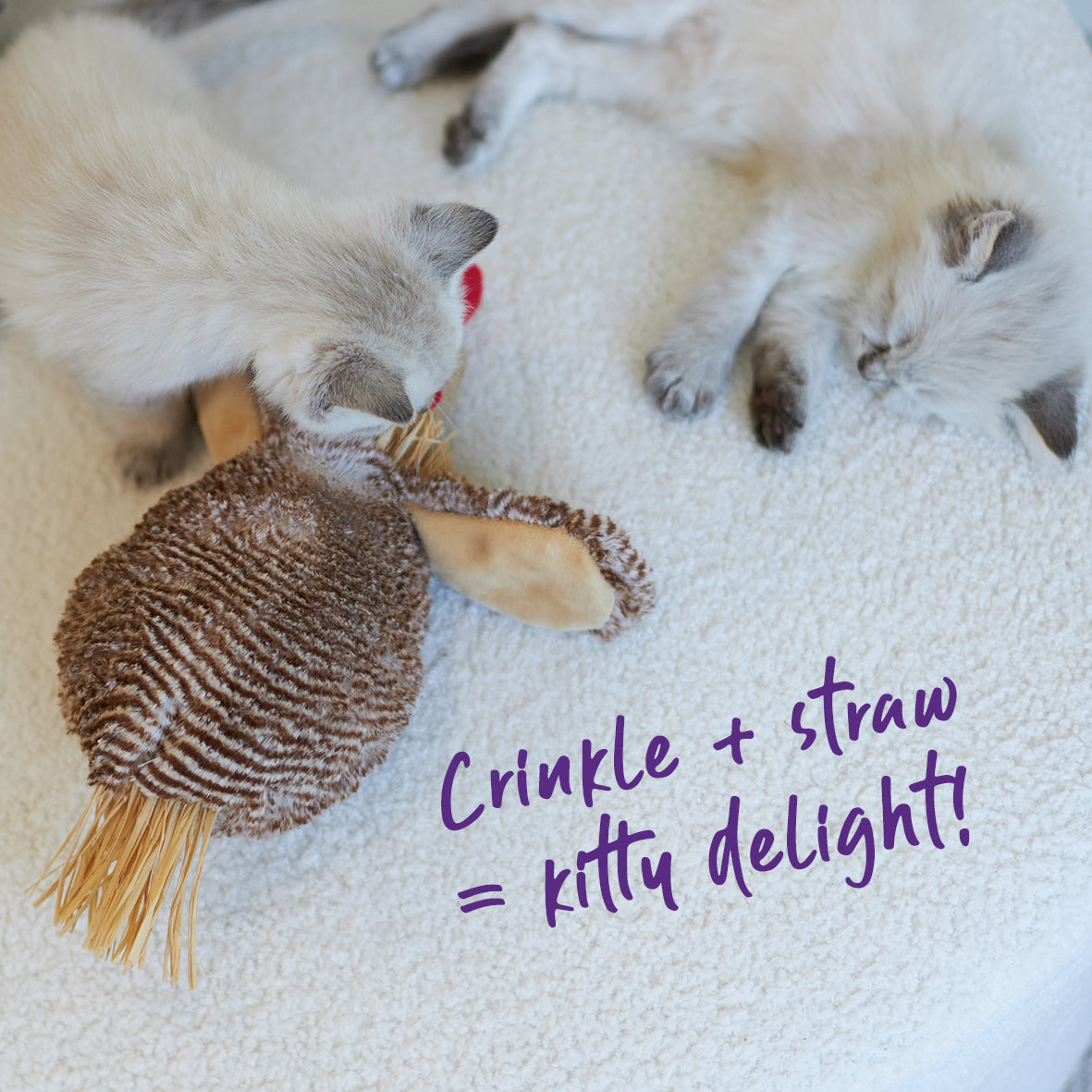 Chicken sale cat toy