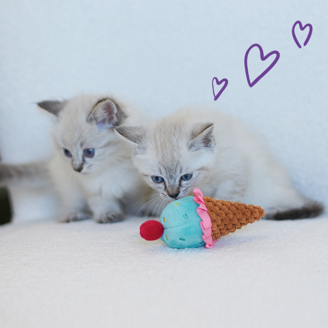 Icecream Vibes Cat Toy w/ Catnip