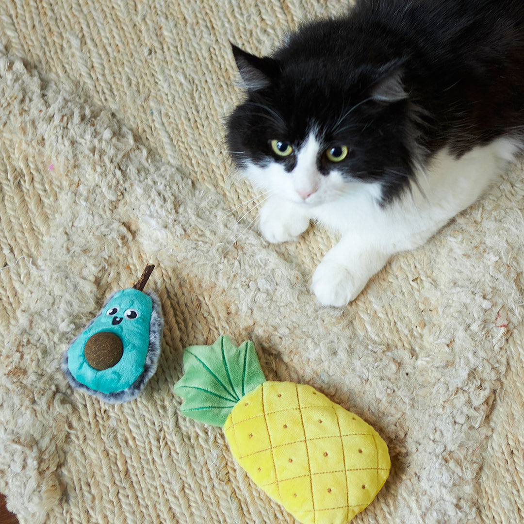 Crinkly Pineapple with catnip
