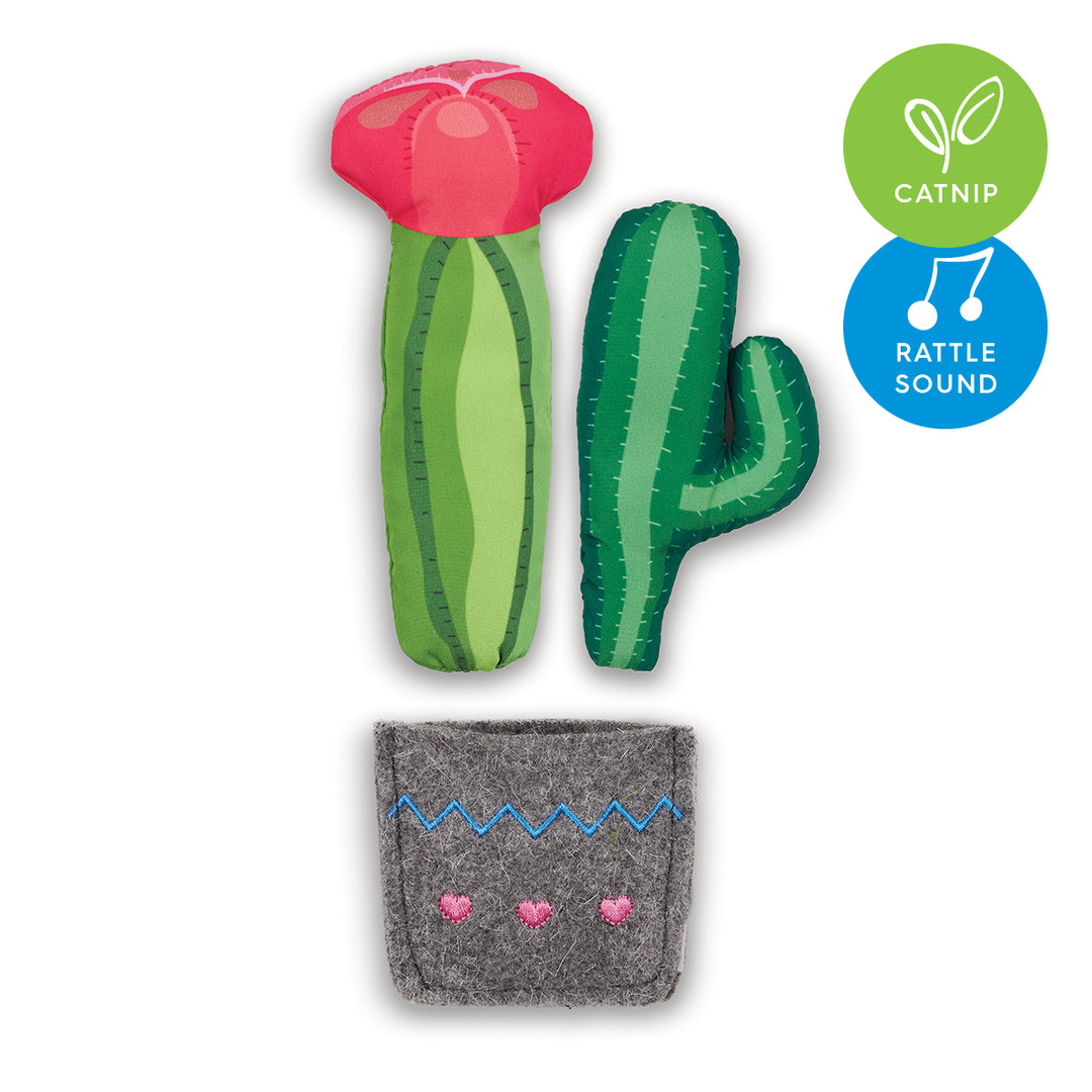 Cactus Garden with catnip and rattle