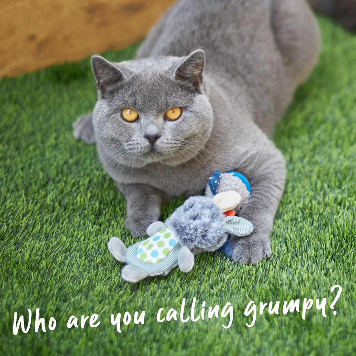 Grumpy Rabbit With Catnip Silvervine Cat Toy Kazoo Pet Co